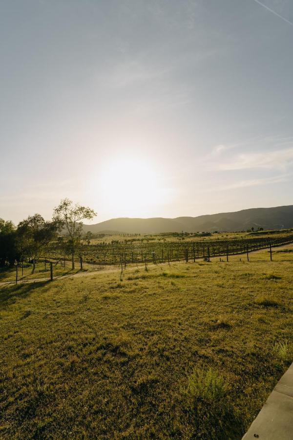 Casa Primavera/ Valle De Guadalupe Dış mekan fotoğraf